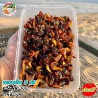 ราคา หอยลาย หอยลายกรอบ เคี้ยวเพลิน รสชาติอร่อย สดใหม่ ของดีเมืองประจวบฯ (18318207348)