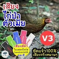 ราคา เสียงไก่ป่าตัวเมีย V 3 เมม แฟลชไดร์ฟเสียงไก่ป่าตัวเมีย V 3 มีเก็บเงินปลายทาง ชัดแจ๋ว 100 ไม่มีโฆษณาแทรก MP3 เสียงต่อสัตว์ (11999920326)