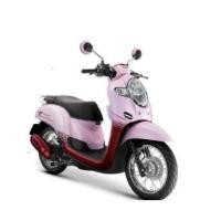 ราคา แท้100 ฝาครอบ ฝาครอบไฟหน้า ฝาครอบหน้า scoopy i ปี2018 เบิกศูนย์ HONDA เฟรม รถ เปลือกรถ ชุดสีscoopy i จุดสังเกตุไฟเลี้ยวด้านหน้าจะติดกับไฟหน้า H037 (7496262615)