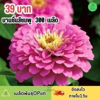 ราคา เมล็ดพันธุ์ ดอกบานชื่นกลีบซ้อนสีชมพู บรรจุ 300 เมล็ด (20097760078)