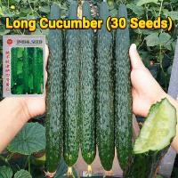 ราคา เมล็ดพันธุ์แตงกวา เมล็ดแตงกวาญี่ปุ่น 30เมล็ด Japanese Cucumber Seed Organic Vegetable Seeds for Planting เมล็ดแตงกวา เมล็ดพันธุ์ OP แท้ เมล็ดผักสวนครัว ผักออร์แกนิก F1 เมล็ดพันธุ์ผัก เมล็ดพันธุ์พืช พั