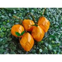 ราคา เหรียญโปรยทาน ตัวเปล่า10ชิ้น โปรยทานงานบวช โปรยทานสำเร็จรูป (19070816289)