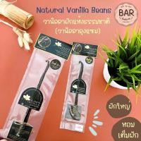 ราคา วานิลลาฝักแห้งธรรมชาติ วานิลลาลุงแซม Natural Vanilla Beans SAMS Vanilla ฝักวานิลลาติดเมล็ด ฝักวานิลลาใช้สำหรับทำขนม (16129214376)