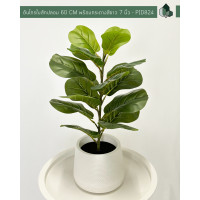 ราคา ต้นไทรใบสักปลอม สูง 60 CM พร้อมกระถางโมเดิร์นสีขาว (17365600785)