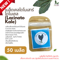 ราคา เคลไดโนเสาร์ เมล็ดเคล เมล็ดพันธุ์เคลไดโนเสาร์ เมล็ดลาชินาโต้เคล เมล็ดเคลไดโนเสาร์ Lacinato Kale สุดคุ้ม มีคู่มือแนะนำการเพาะเมล็ดพร้อม (19929763635)