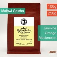 ราคา Malawi Chitipa Geisha White Honey เมล็ดกาแฟคั่วอ่อนมาลาวีเกอิชา Malawi Geisha (21370190118)