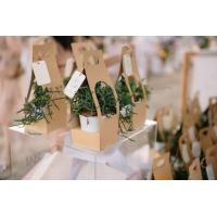 ราคา ต้นไม้ ของขวัญ Set ของชำร่วย ของขวัญ งานแต่ง ต้นไม้พร้อมกล่องกระดาษหูหิ้ว (20942769399)