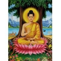 ราคา ภาพพระพุทธเจ้าปางประจำวันเกิดทั้ง7วันและ ปางประสูติ ตรัสรู้ ปรินิพาน และปางประทานพร ภาพเคลือบมันอย่างดีสีสวยสดใสขนาด15X20นิ้ว (8214475316)