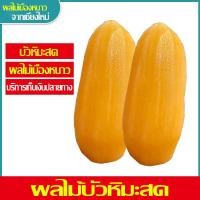 ราคา บัวหิมะ บัวหิมะสด 1 10 kgฤดูกาล สดมาก คุณประโยชน์มากมาย หวาน กรอบ ฉ่ำน้ำ (20826984446)