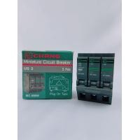 ราคา CHANG ลูกเซอร์กิต 3P 32A ช้าง US3 3P32A สีดำ เบรกเกอร์ย่อ32A แอมป์ ช้าง (9739039728)