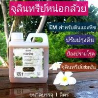 ราคา จุลินทรีย์หน่อกล้วย ขนาด1ลิตร เร่งดอกออกผลบำรุงพืช (9169588401)