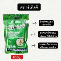 ราคา สตาร์เกิลจี สารกำจัดแมลง เพลี้ย 100 กรัม (20949875136)