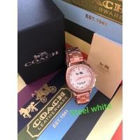 ราคา Caoch leather watch with paper manual book paper bag (16487115880)