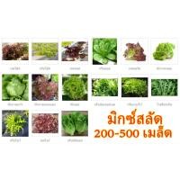 ราคา เมล็ดผักอินทรีย์ เมล็ดพันธุ์ผักสลัด เมล็ดผักสลัด 200 300 เมล็ด 20 บาท มีคู่มือการปลูก 10 แถม 1 คละได้ (9390495894)