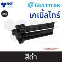 ราคา เคเบิ้ลไทร์ สายรัดเคเบิ้ลไทร์ หนวดกุ้ง ยี่ห้อ Giantlok สีขาวและสีดำ ขนาด 3 ถึง 24 (20212391594)