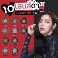 ราคา มีค่าสายตา Wink Mini Dolly Holiday Gray Brown บิ๊กอาย สุดปัง คอนแทคเลนส์ รายเดือน มีอย แถมตลับฟรี เลนส์นิ่ม สวยปังมาก (12602649609)