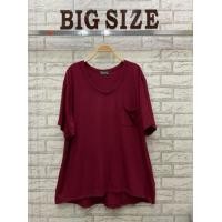 ราคา เสื้อผ้าสำหรับสาวอวบอ้วนบิ้กไซร์ รหัส 21 เสื้อผ้าแฟชั่น เสื้อผู้หญิง เสื้อแฟชั่น เสื้อผ้าคนอ้วน เสื้อผ้าคนอวบ Beshop Bigsize (16259685750)