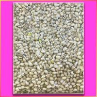 ราคา ขายส่ง แบบดิบ อัลมอนด์ 10 กก Wholesale Raw Almond 10 kg Raisins ลูกเกด เม็ดมะม่วงหิมพานต์ เมล็ดฟักทอง พิสตาชิโอ เมล็ดทานตะวัน Cashew Nuts Pumpkin (19807502015)