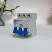 ราคา AC เบรคเกอร์ เมนเบรคเกอร์ เซอร์กิตเบรกเกอร์ Circuit Breaker 2P (20796017070)