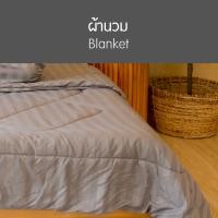 ราคา SANTA ชุด ผ้าปูที่นอน ผ้านวม ผ้าห่ม สีเทาเข้ม ลายริ้ว โรงแรม 5 ดาว 3 5 5 6 ฟุต (15830458348)