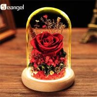 ราคา Seangel ของขวัญวันวาเลนไทน์ที่เก็บรักษาไว้ดอกไม้สดดอกไม้แห้งความงามและสัตว์เดรัจฉานสดสีแดงนิรันดร์กุหลาบในโดมแก้วสำหรับวันสตรีคริสต์มาสแฟนของขวัญเครื่องประดับตกแต่งบ้าน (14888774019)
