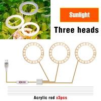 ราคา โคมไฟปลูกพืชไฮโดรโปนิกส์ LED lampu Grow เต็มสเปกตรัมสำหรับปลูกเมล็ดดอกไม้ไฟปลูกพืชแบบ USB DC5V ไฟเร่งโต LED (21170658871)