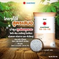 ราคา ปุ๋ยเคมี 16 16 16 คอมปาวน์ 25กก ช่วยบำรุงทุกส่วน ต้น ใบ ราก ดอก หรือผล ตราดวงตะวันเพชร (21351518651)