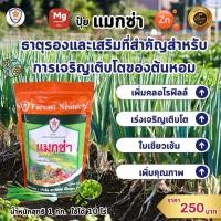 ราคา แมกซ่า ธาตุอาหารรอง ธาตุอาหารเสริมพืช แมกนีเซียม ซิงค์ เพิ่มคุณภาพและผลผลิตให้ต้นหอม (21053652357)