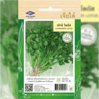 ราคา เมล็ดพันธ์ุ ผักชี โลตัส ตราเจียไต๋ (19493801041)