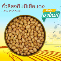 ราคา ถั่วลิสงดิบมีเยื่อแดง 500 กรัม Raw Peanut 500 g (9972793396)
