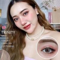 ราคา คอนแทคเลนส์ Trinity Brown Gray ยี่ห้อ Kitty Kawaii ค่าสายตาปกติ (21352798067)