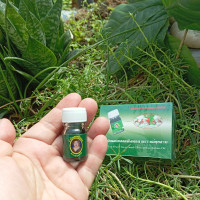 ราคา น้ำมันเขียวเสลดพังพอนแม่กุหลาบ ขนาดเล็กพกพา 1 แพ็ค 12 ขวด (21356527544)