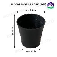 ราคา กระถางต้นไม้พลาสติก กระถางพลาสติก กระถางปลูกต้นไม้ สีดำ ขนาด 2 5 3 4 5 6 8 10 12 15 17 นิ้ว (20000584393)