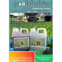 ราคา ปุ๋ยไฮโดรโปนิกส์ ปุ๋ยน้ำ ปุ๋ยAB ปุ๋ยเอบี ปุ๋ยผักสลัด ปุ๋ยผักHydroponics ติดตามร้านค้า มีส่วนลด (12585520798)