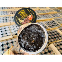ราคา สครับขัดผิวกาแฟ (20942565474)