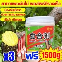 ราคา 1วันให้แผลนพืชหายดี ยาทาแผลต้นไม้ 500g ปูนแดงทาแผลต้นไม้ ช่วยการสมานแผล ครีมทาแผลต้นไม้ ใช้ได้กับต้นไม้ทุกชนิด ยาป้ายแผลต้นไม้ ส่งเสริมการเติบโต ซ่อมแซมบาดแผล ป้องกันเน่าเปื่อย ป้องกันแตกร้าว ยาปิดแผล