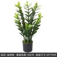 ราคา ต้นไม้มงคล ต้นกวักมรกต ต้นไม้ปลอม แต่งบ้าน กวักมรกต กวักเงินกวักทอง Plant L GMG (20581762442)