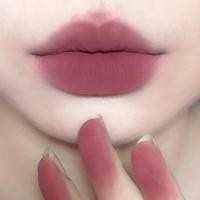 ราคา DragonRanee ลิปสติ๊กสำหรับผู้หญิงสีชานมลิปสติกเนื้อแมทกันน้ำลิปสติกกำมะหยี่คงทน (19402180307)