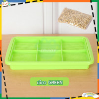 ราคา หญ้าแมว ออร์แกนิค ข้าวสาลีแมว ชุดปลูกต้นอ่อนข้าวสาลี เมล็ดข้าวสาลี ชุดปลูกหญ้าแมว ชุดปลูกข้าวสาลี ถาดเพาะต้นอ่อน ชุดปลูกข้าวสาลีแ (20794013752)