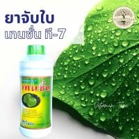 ราคา ยาจับใบ เทนชั่น ที 7 สารเพิ่มประสิทธิภาพของสารป้องกันกำจัดศัตรูพืช 1 ลิตร สารจับใบ น้ำยาจับใบ (19261926906)