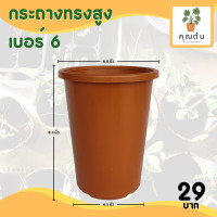 ราคา กระถาง จานรอง กระถางต้นไม้ กระถางทรงสูง ไม้กราฟ เบอร์ 4 6 นิ้ว สีดำ สีขาว สีอิฐ (20891169953)