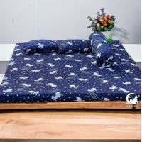 ราคา ที่นอนปิคนิค 5 ฟุต หมอนข้าง 1ใบ แบบเซ็ต 4 ชิ้น ขนาดที่นอน 150x190 CM ที่นอนถอดซักได้ (16773639020)