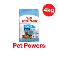 ราคา Royal canin Maxi Starter 4 kg ลูกสุนัขพันธุ์ใหญ่ (12792593247)