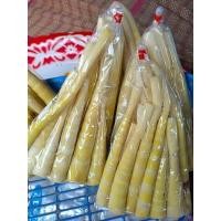 ราคา หน่อไม้อัดถุง หน่อไม้เผา ถุงละ 400 500 กรัม หน่อไม้สดๆจากเขาชัยภูมิ ขึ้นเองตามธรรมชาติ1 ปี จะได้กินครั้งหนึ่งคะ (20506130412)