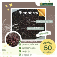 ราคา ข้าวไรซ์เบอรี่ (21067412687)