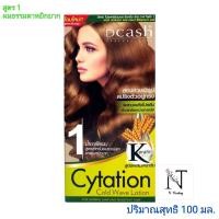 ราคา น้ำยาดัดผม สูตรเคราติน ดีแคช ไซเทชั่น โคล เวฟ โลชั่น มี 2 สูตรให้เลือก Dcash Keratin Cytation Cold Wave Lotion ปริมาณ 100 มล (9508243145)