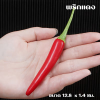 ราคา ผักโมเดล ผักพลาสติก ผักปลอม ผักผลไม้ปลอม สำหรับตกแต่งร้านอาหาร แต่งบ้าน แต่งร้านค้า (21144725458)