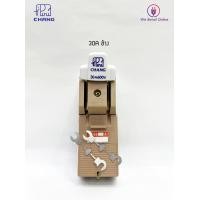 ราคา คัทเอาท์ ช้างอเมซิ่ง CHANGAMAZING 2P 30A60A100A 600V (12240111904)