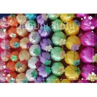 ราคา เหรียญโปรยทานมะพร้าวตัวเปล่า คละสี ไม่ใส่เหรียญ (21282475279)