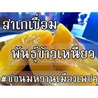 ราคา สาเกเชื่อม 1กิโลกรัม (19496218885)
